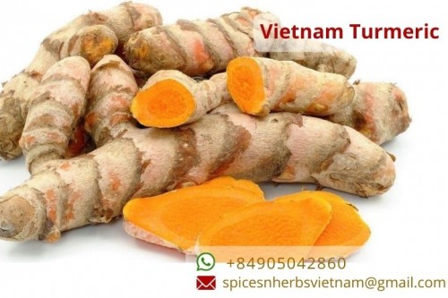 Vietnam turmeric export products