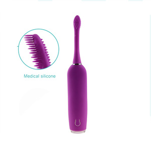 2018 wholesale Plastic adult toothbrush Replaceable Head electric ultrasonic toothbrush