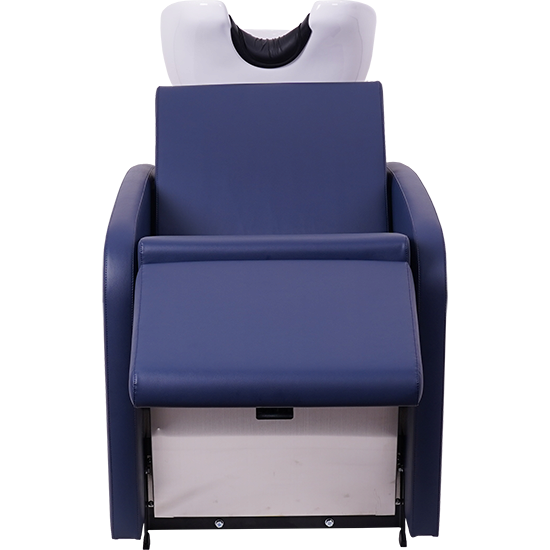 290S Electric backwash unit