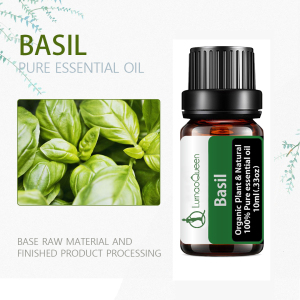 Basil Private Label Essential Oil Body Bath 100% Natural Aroma Therapy Oils Car Essential Oil