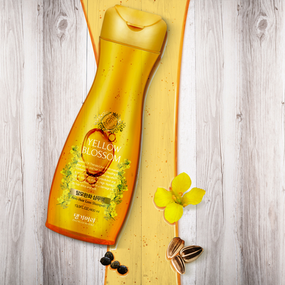 (DAENG GI MEO RI) Yellow Blossom Hair Loss Care Shampoo 400ml