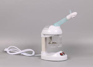 DT-66 Ionic hair Steamer