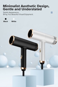 Home Powerful Electric Dryer Portable Hairdryer 2021 New style Anion Hair Dryer Negative Ion hair care Professional Quick Dry