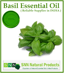 Indias No.1 Natural Basil Essential Oil By SNN Natural Products