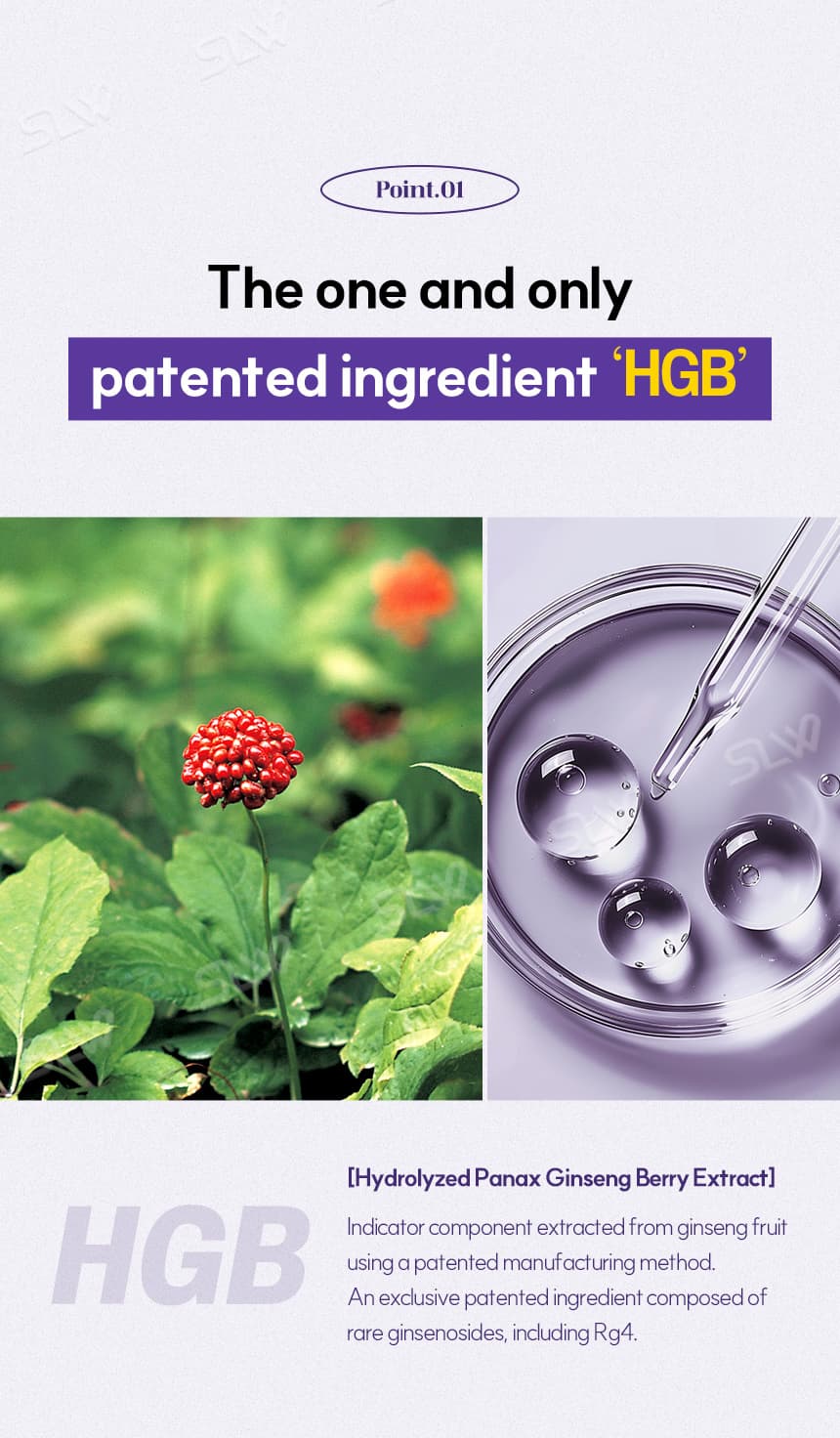 MORISM Scalp Hair Tonic