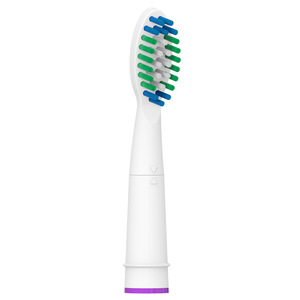 New design replacement toothbrush head