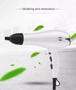 OEM Customize 2200W High Speed Professional Hair Blow Dryer Salon Hair Dryer With Ionic Cool Shot Function
