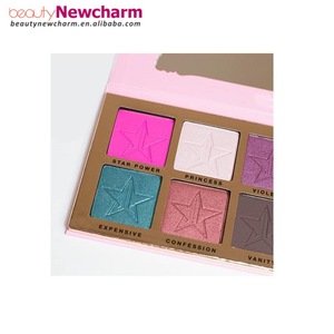 Professional cosmetic product popular star makeup 10 color eyeshadow palette