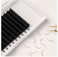 Classic Individual Lashes