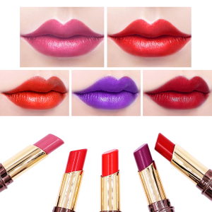 Customize High Quality Waterproof Lipstick Shining Matte Lasting Lip Stick