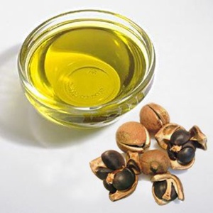 Distributor Rich in Linolenic Acid Essence Emulsion SPA Soothe Skin Camellia Seed Oil Benefits