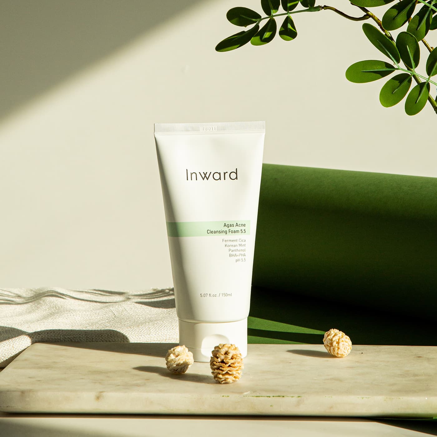 [Inward] Agas Acne Cleansing Foam 5.5