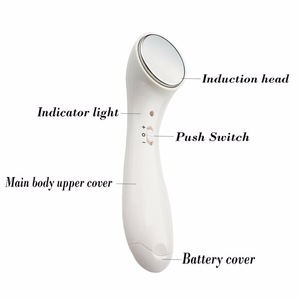 Newest Style Vibration Facial Cleansing Instrument Ion Face Lifting Massager Salon Beauty Equipment