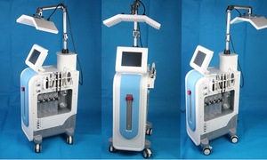 NL-SPA600 BEST! multifunction pdt  therapy led machine skin care for beauty machine