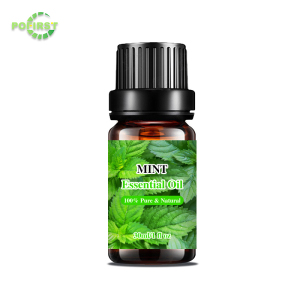 Oem Natural Plant Extract Skin Firming And Tightening Anti Cellulite Body Massage Oil Tea Tree Essential Oil