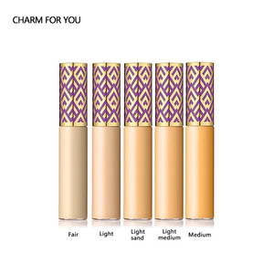 OEM Private Label Liquid Concealer Remove Acne Cosmetics Face Base Foundation Makeup Liquid Corrector Contour 10ml