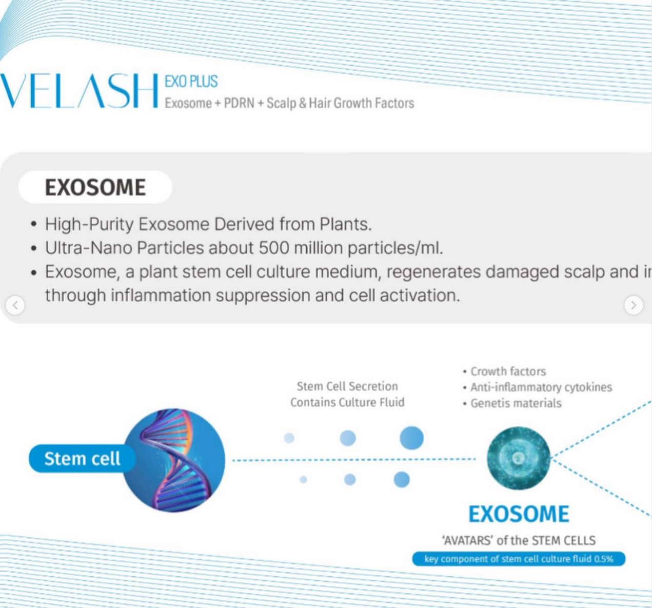 VELASH Exosomes + PDRN + Hair &amp; Scalp Growth Factors
