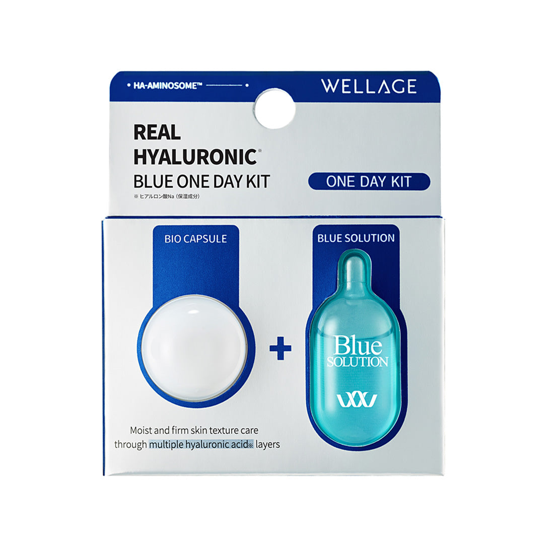 (Wellage) Real Hyaluronic One Day Kit