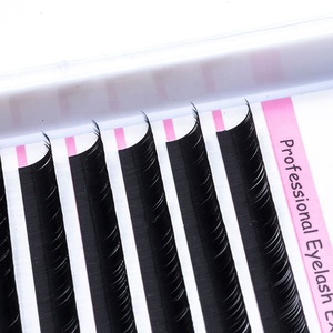 High Quality Korean Silk 3D Mink Individual Lashes False Eyelashes With Your Logo