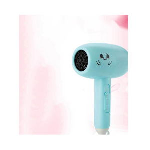 New Design Professional  Hair Dryer