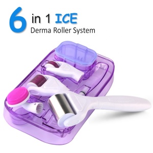 Newest Dermaroller Skin Cooling 6 in 1 Ice roller Derma Roller