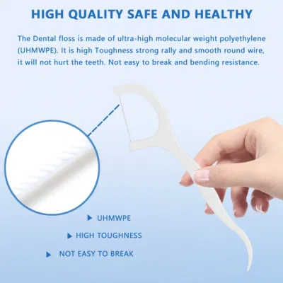 OEM Bulk Eco Friendly Plastic Dental Floss Picks Floss Toothpick