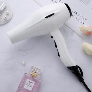 Powerful Professional Salon Hair Negative Ion Constant Temperature Blow Dryer