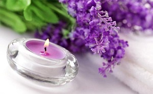 Premium Therapeutic 100% Pure Lavender Essential Oil