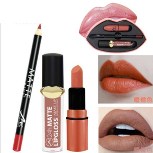 Private label wholesale mouth container long lasting lipgloss waterproof lip liner matte Cosmetics lipstick kit