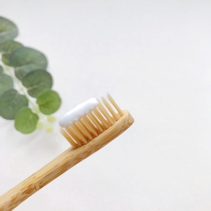 Wholesale CE-ROHS certificate reusable biodegradable organic charcoal bamboo toothbrush with packaging