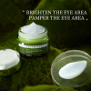 Leafmetics Organic Eye Cream | Flexible MOQ Custom | Guangzhou Factory| OEM/ODM
