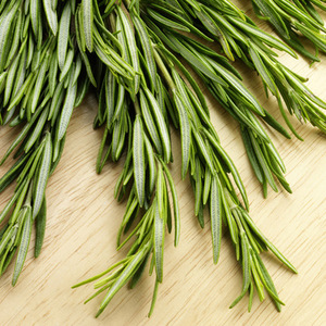 Factory Supply Rosemary Oil Bulk 100% Pure for Human Health