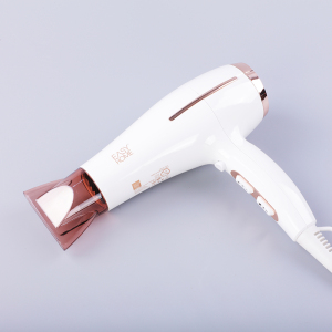 Hair Dryer Supplier 2200w Negative Professional Hair Dryer With Dc Motor