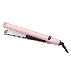 High End Flat Iron 450 Degrees Plancha Para Cabello De Ceramica with Private Label