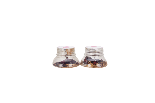 PSI Tea Coldbrew  Flower Tea Set