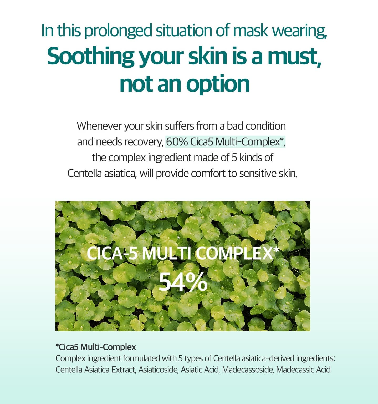 Skin Care Cica Panthenol 5% Toner – Soothing &amp; Barrier Strengthening