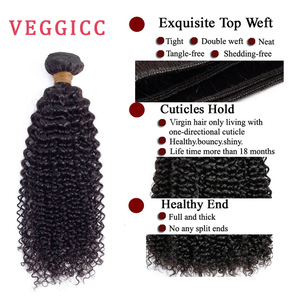 VEGGICC Wholesale Hair Vendors Virgin Bundle In Bulk Remy Brazilian Cuticle Aligned Hair Kinky Curly 10 Pcs Double Drawn Weaving