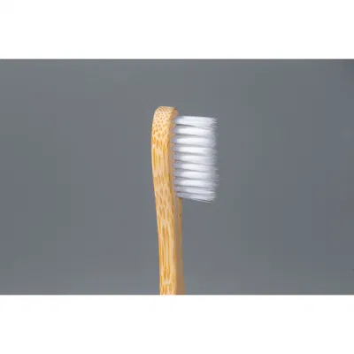 Wholesale Natural 100% Biodegradable OEM Bamboo Toothbrush
