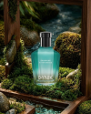 Premium Men's Perfume Wholesale-DYNIK Long Lasting Fresh Spray High Quality EDP Private Label OEM/ODM SCC Vietnam Origin Active