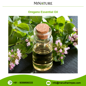 100% Pure and Natural Wholesale Oregano Essential Oil at Reliable Price