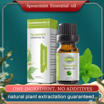 100% Pure Natural Plant Extracted Oil Food Grade Flavour CAS 8008-79-5 Spearmint Essential Oil for Medicine