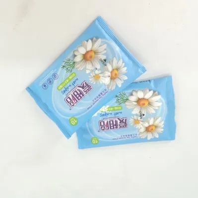 Baby Water Wipes Wet Cleaning Wipes 10 PCS Pocket Packing