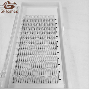 Best volume lashes Korean PBT 3D 4D Premade fans W eyelashes extensions