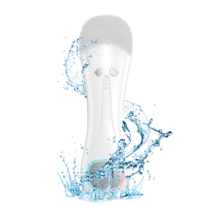 Drop Shipping Facial Cleanser Other Cleaning Equipment Skin Care Facial Cleansing Brush