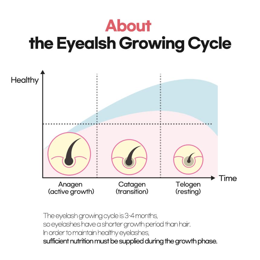 Eye Lash Essence