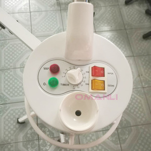 Facial Ozone Beauty Electric facial steamer with magnifying lamp