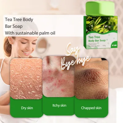 Green Tea Moisturizing Skin Care Bath Soap