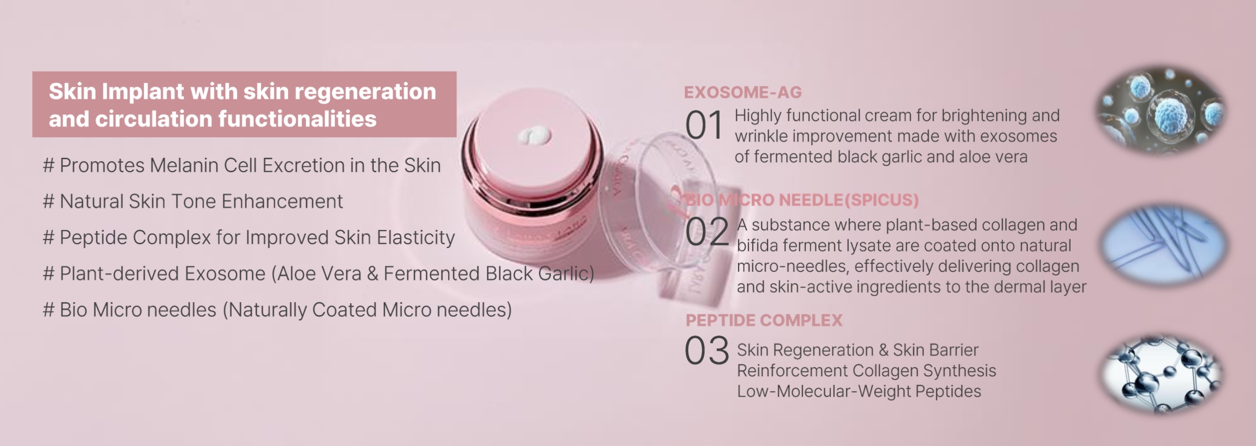 [LARA CLARA] EXO-AG MTS PEPTIDE CREAM.