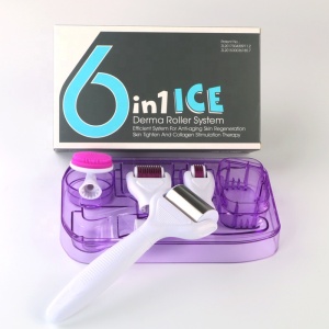 Newest Dermaroller Skin Cooling 6 in 1 Ice roller Derma Roller