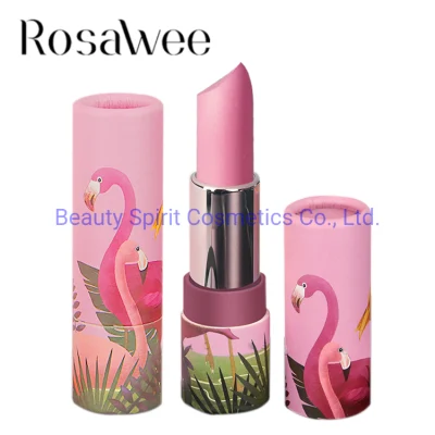 OEM Long Lasting Matte Lipstick Glitter Lipgloss Cosmetics Makeup Lipstick